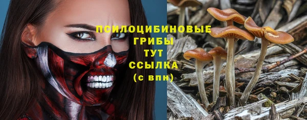 стафф Балахна