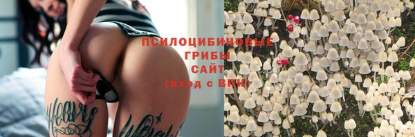 стафф Балахна